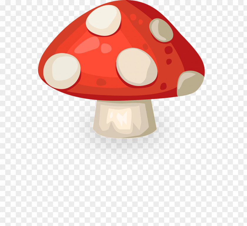 Mushroom Oyster Amanita Muscaria Fungus PNG