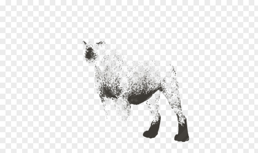 Sheep Dog Breed PNG