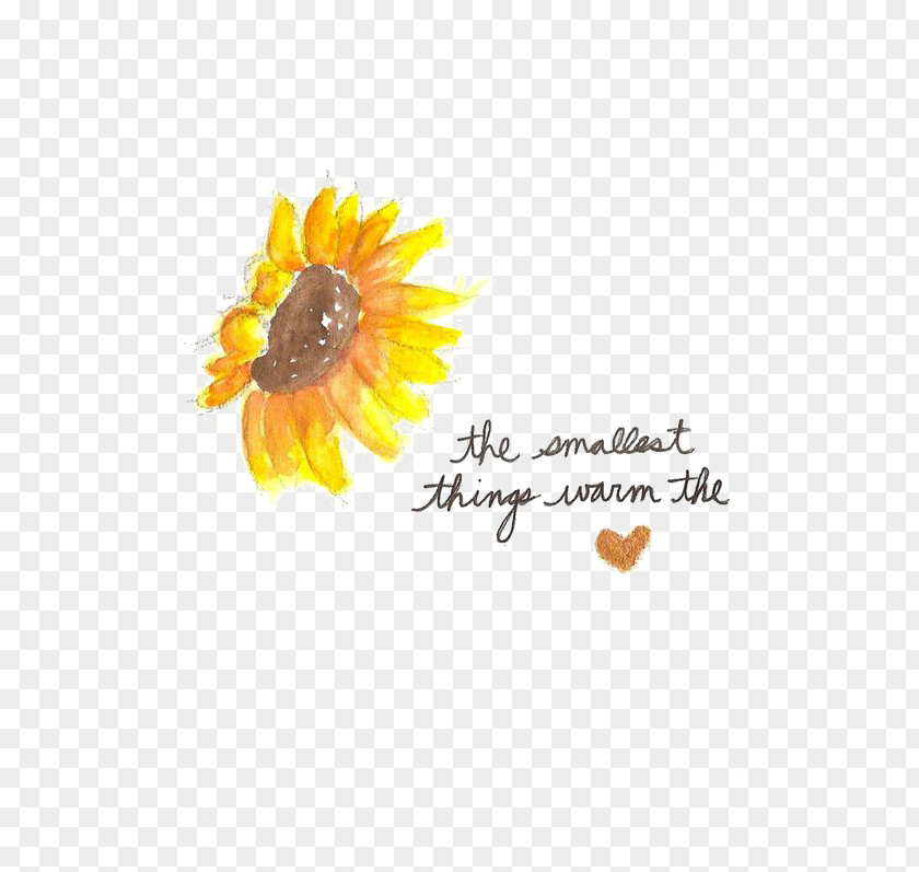 Sunflower Quotation Saying Artistic Inspiration Life Love PNG