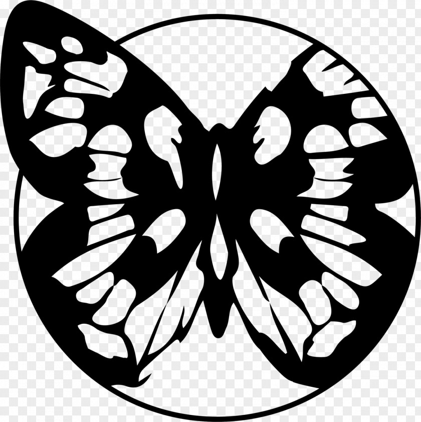 Swallowtail Butterfly Coloring Book Stencil PNG
