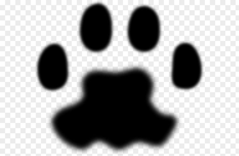 Cat Footprints Dog Paw Animal Track Lion PNG
