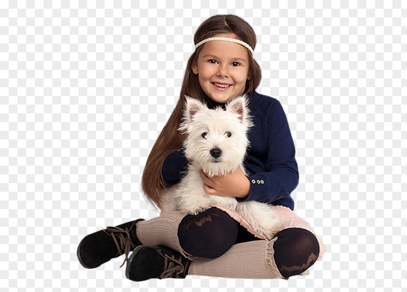 Puppy Dog Breed Companion Stuffed Animals & Cuddly Toys PNG