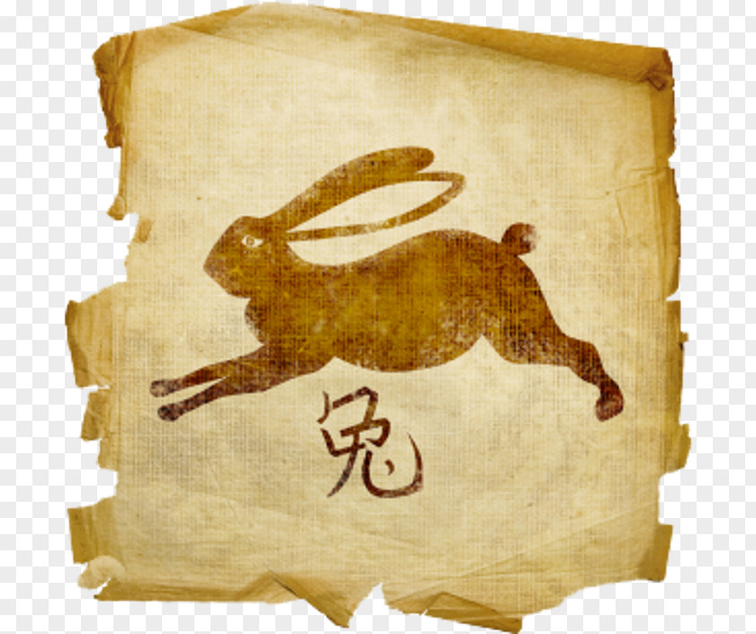 Rabbit Chinese Zodiac Astrology Horoscope PNG