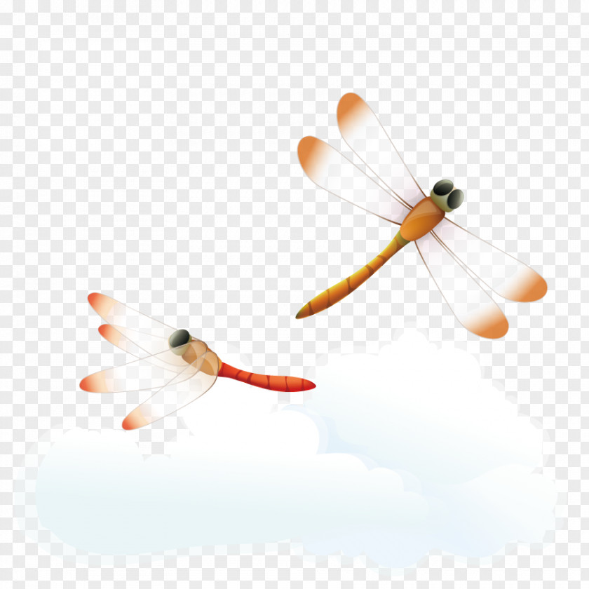 Vector Flying Dragonfly Sky Computer Illustration PNG