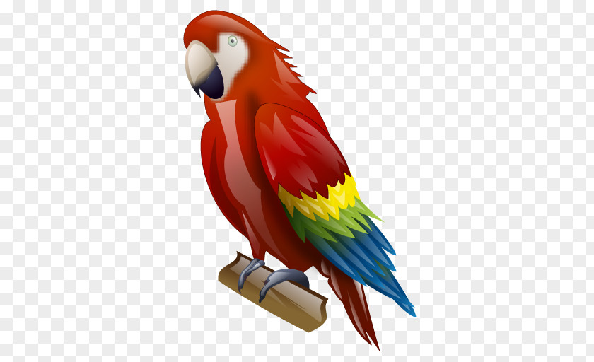 Budgie Parakeet Lovebird PNG