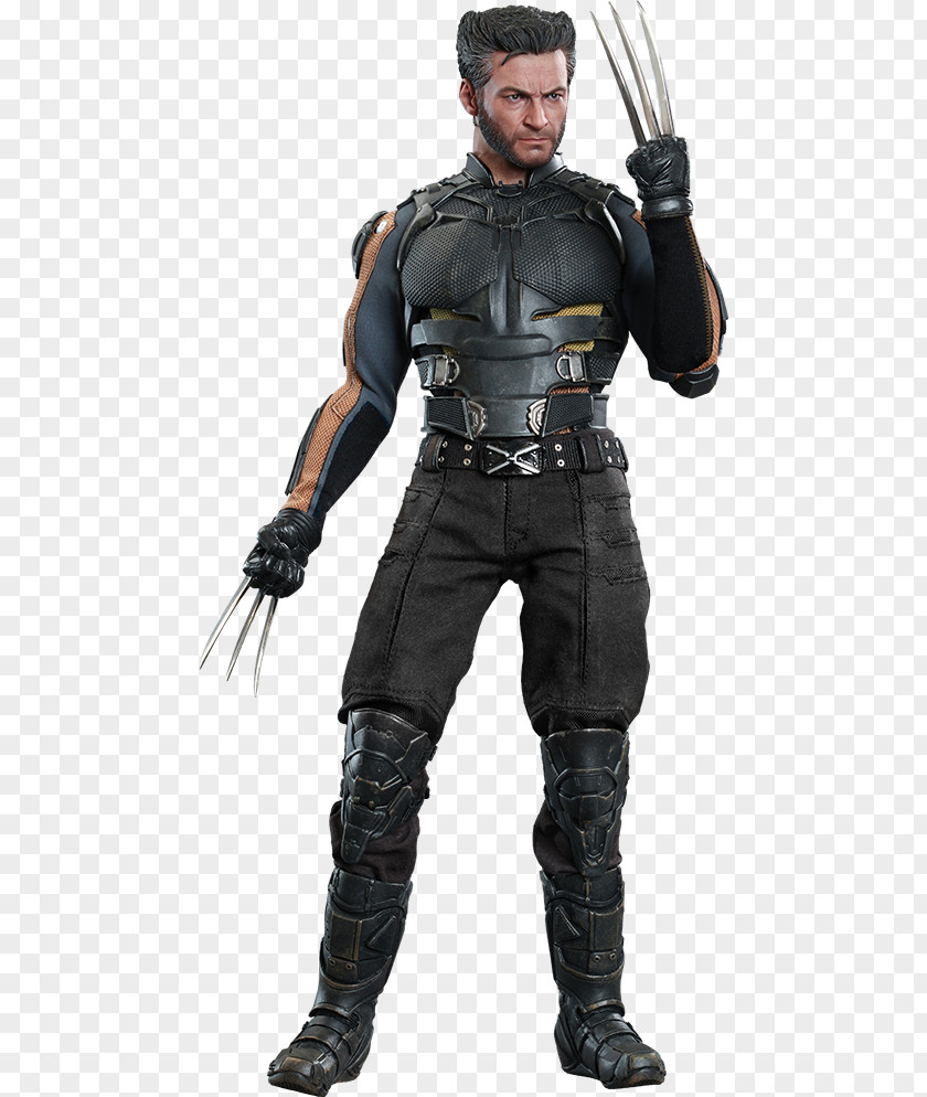 Hugh Jackman The Wolverine 1:6 Scale Modeling Action & Toy Figures PNG