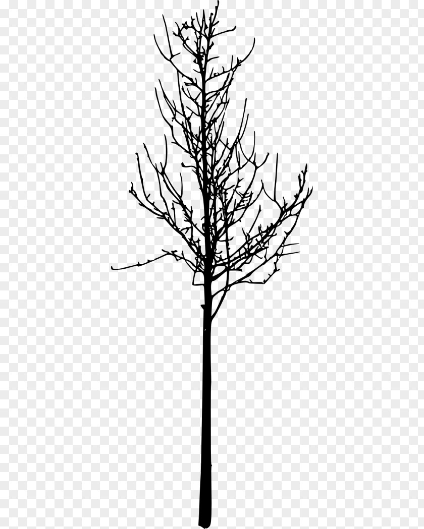 Tree Silhouette Bare Clip Art Image PNG