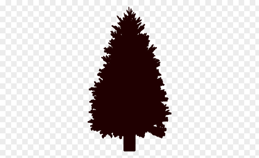 Tree Vector Pinus Palustris Scots Pine Clip Art PNG
