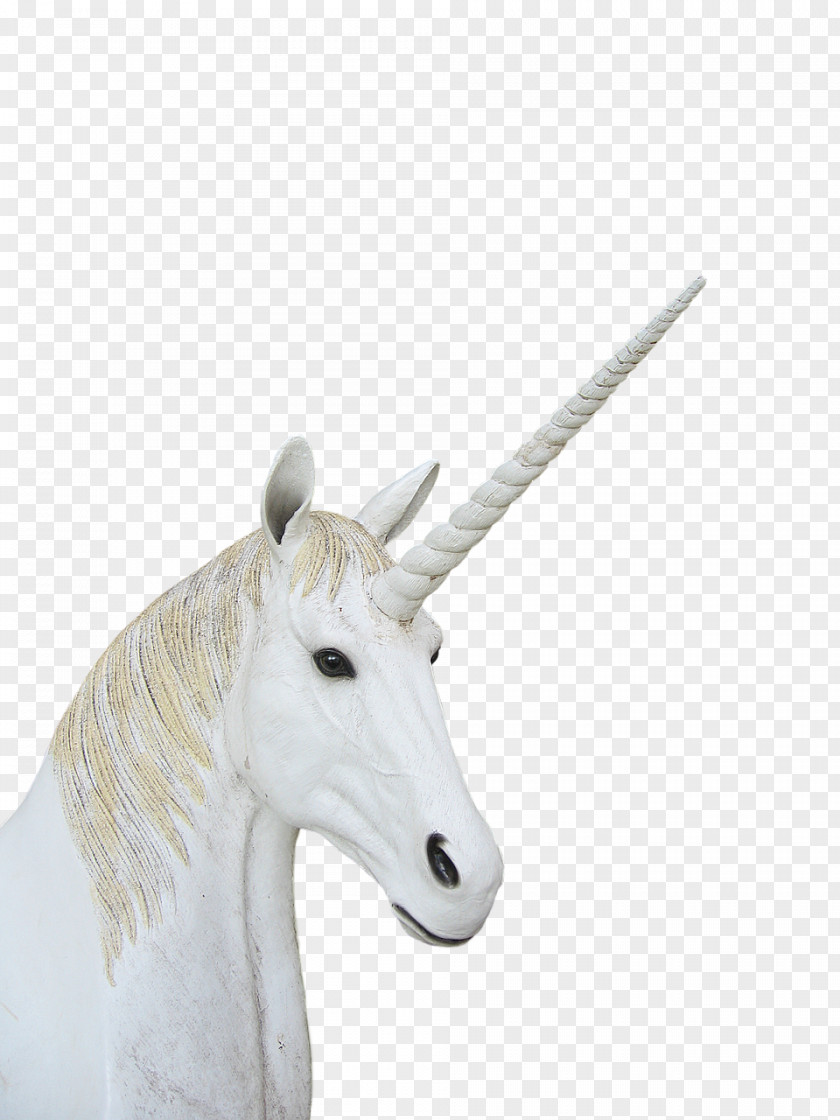 Unicorn Neck PNG