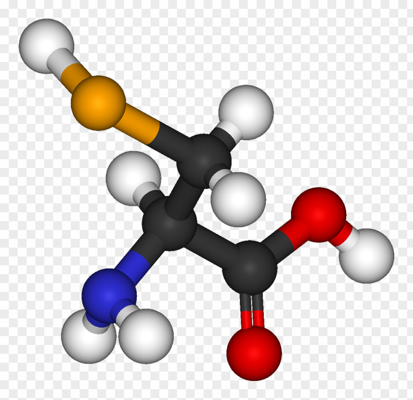 Balls Essential Amino Acid Dicarboxylic Diprotic PNG