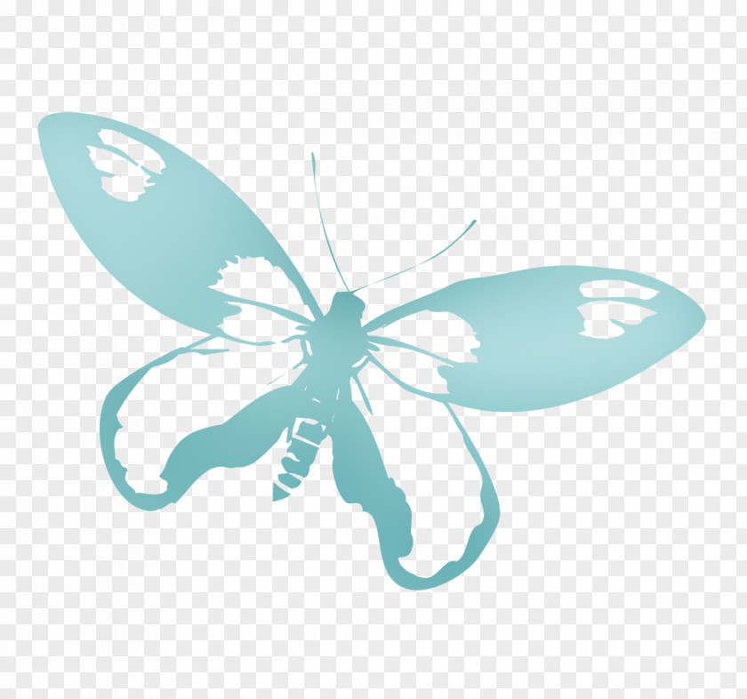 Butterfly Stamp Picture Material PNG