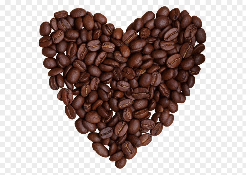 Coffee Bean Cafe Espresso PNG