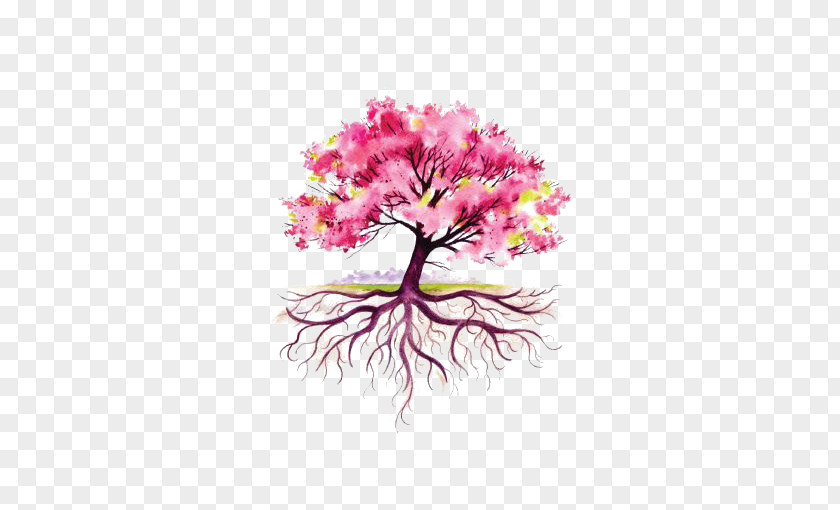 Pink Watercolor Tree Root Drawing Illustration PNG