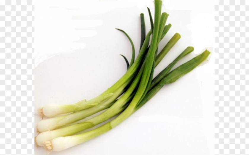 Vegetable Scallion Chives Cong You Bing Shallot Recipe PNG
