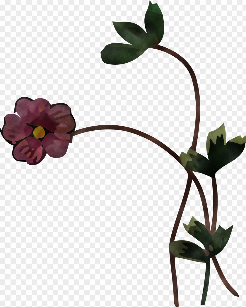 Floral Design PNG