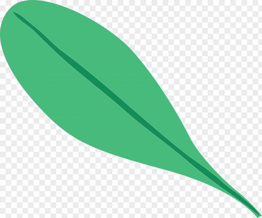 Leaf Plant Stem Green Font Line PNG