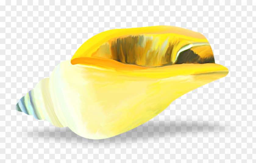 Painted Yellow Conch Clip Art PNG