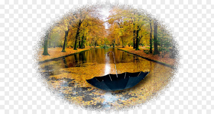 Rain Nature Autumn Yandex Water Resources PNG