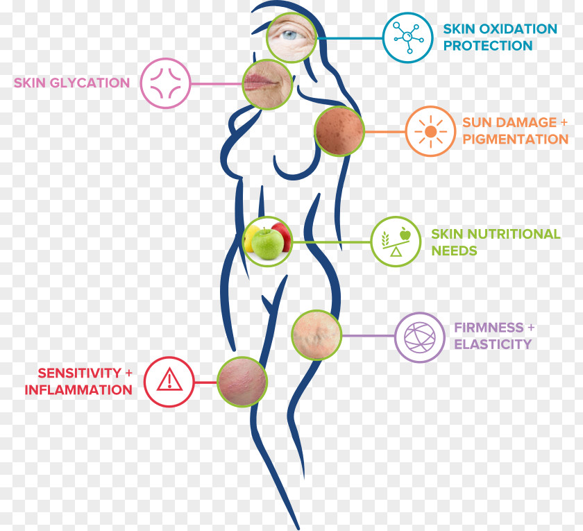 Skin Problem Care Diagram Sensitive Genetics PNG