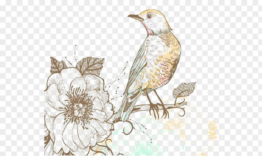Classical Floral Pattern Background Shading Bird Pictures PNG