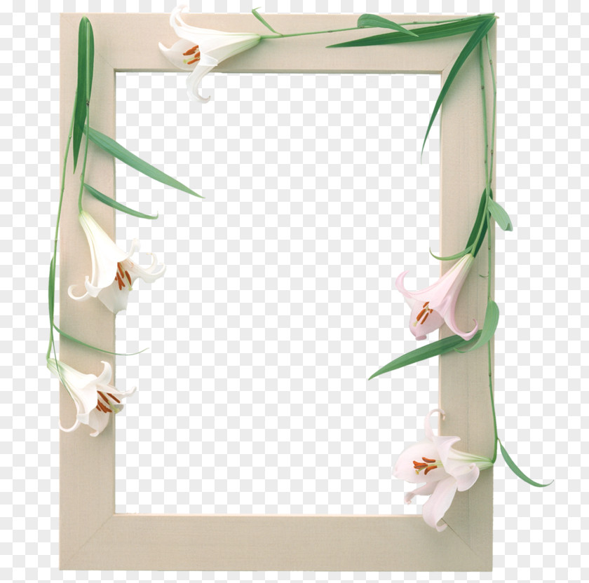 Decorative Box Picture Frames Image Photograph Adobe Photoshop PNG