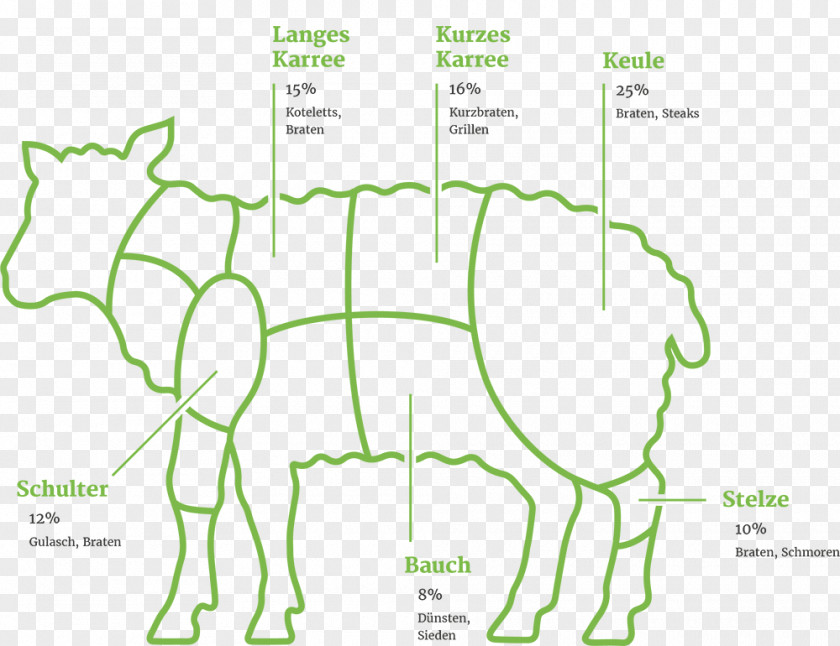Domestic Pig Illustration Spare Ribs Mammal Graphics PNG