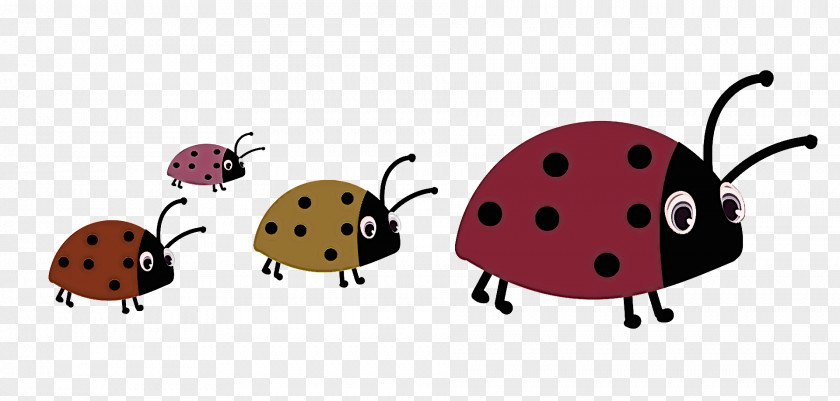 Ladybird Beetle Beetles Ant Cartoon Drawing PNG
