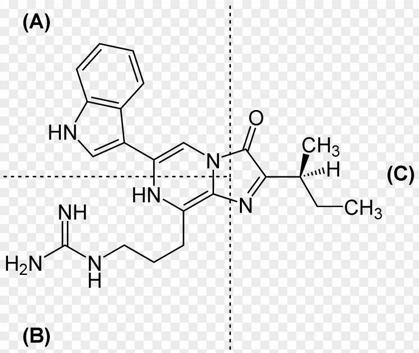 Luciferin Malachite Green Chemical Compound Repaglinide Peptide PNG