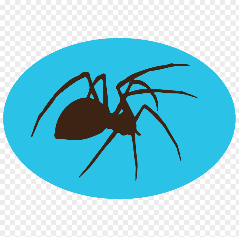 Pest Control Insect Termite Mosquito PNG