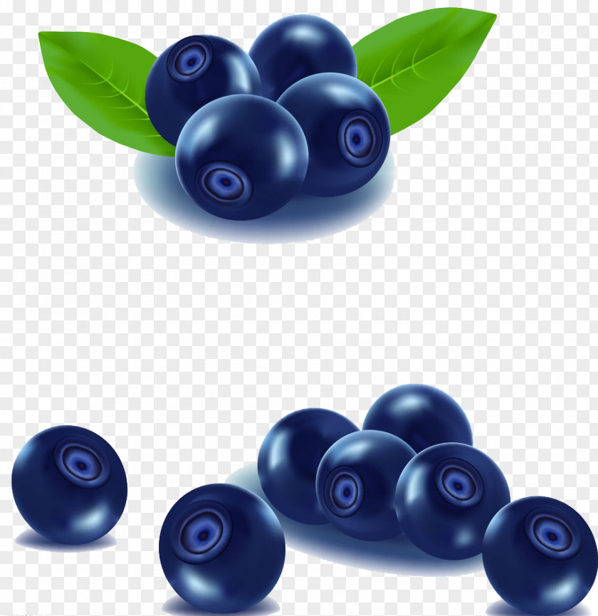 Blueberry Picture Material Fruit Blackberry PNG