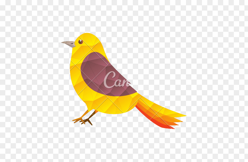 Boho Arrow Bird Domestic Canary PNG