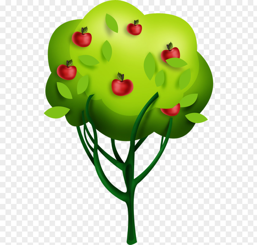 Cartoon Apple Tree Drawing PNG