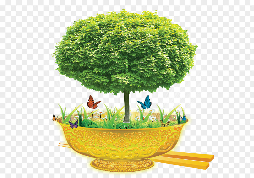 Gold Bowl Stock Photography Tree Royalty-free PNG