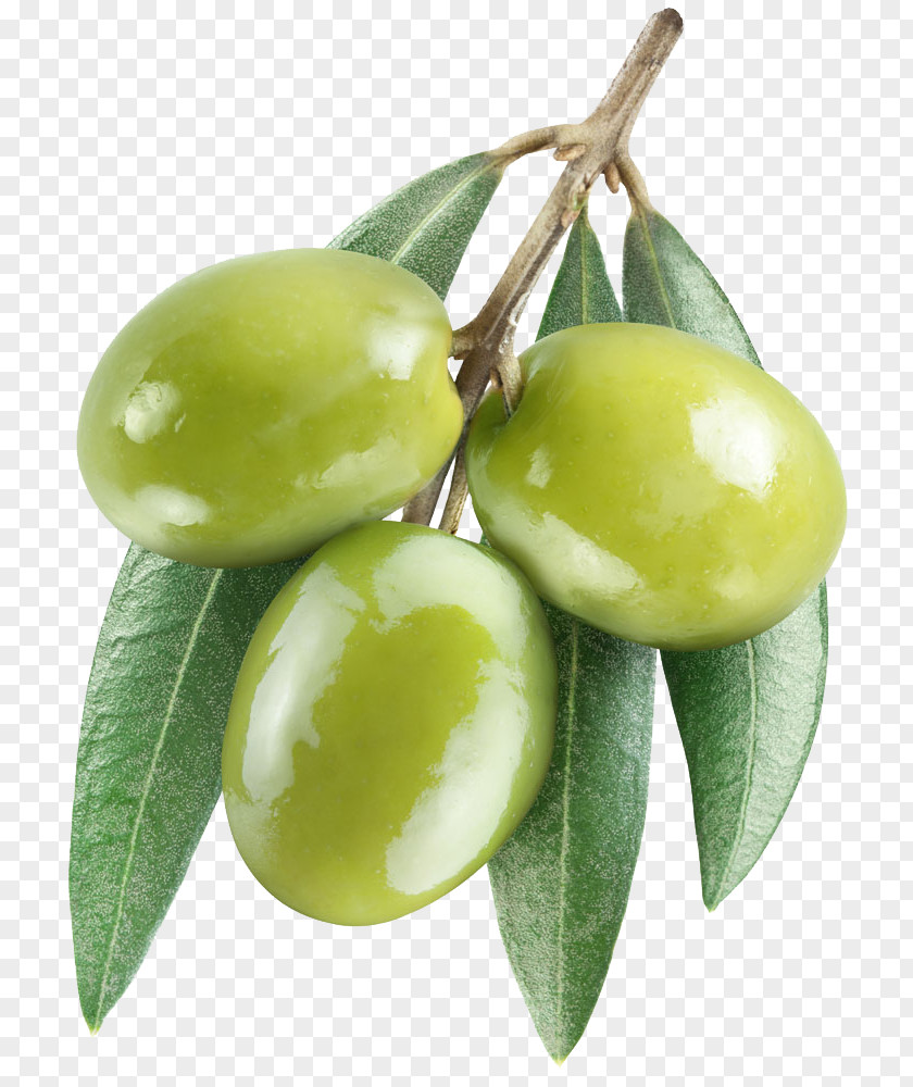 Olive Fruit Leaf Oil PNG