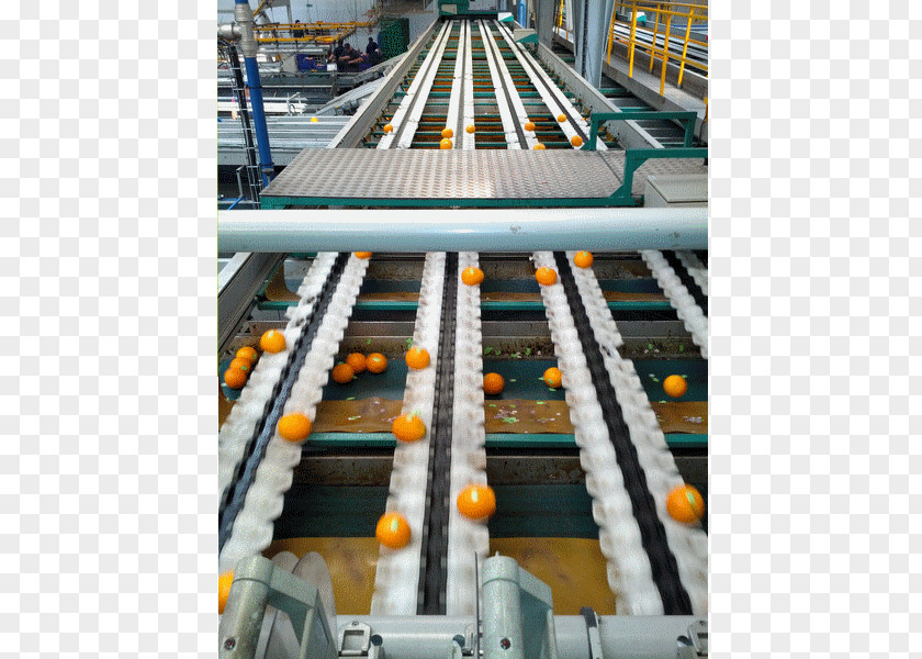 Orange Clementine Fruit Mandarin Industry PNG