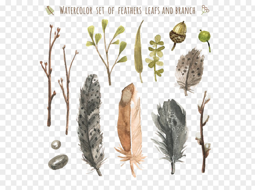 Watercolor Feather Leaves And Branches Painting Paper Pen PNG