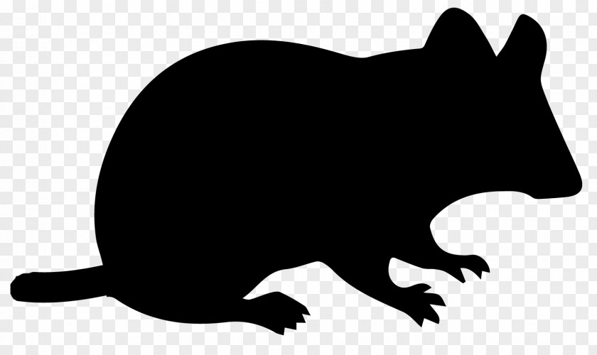 Bird Fleas Computer Mouse Mickey Silhouette PNG