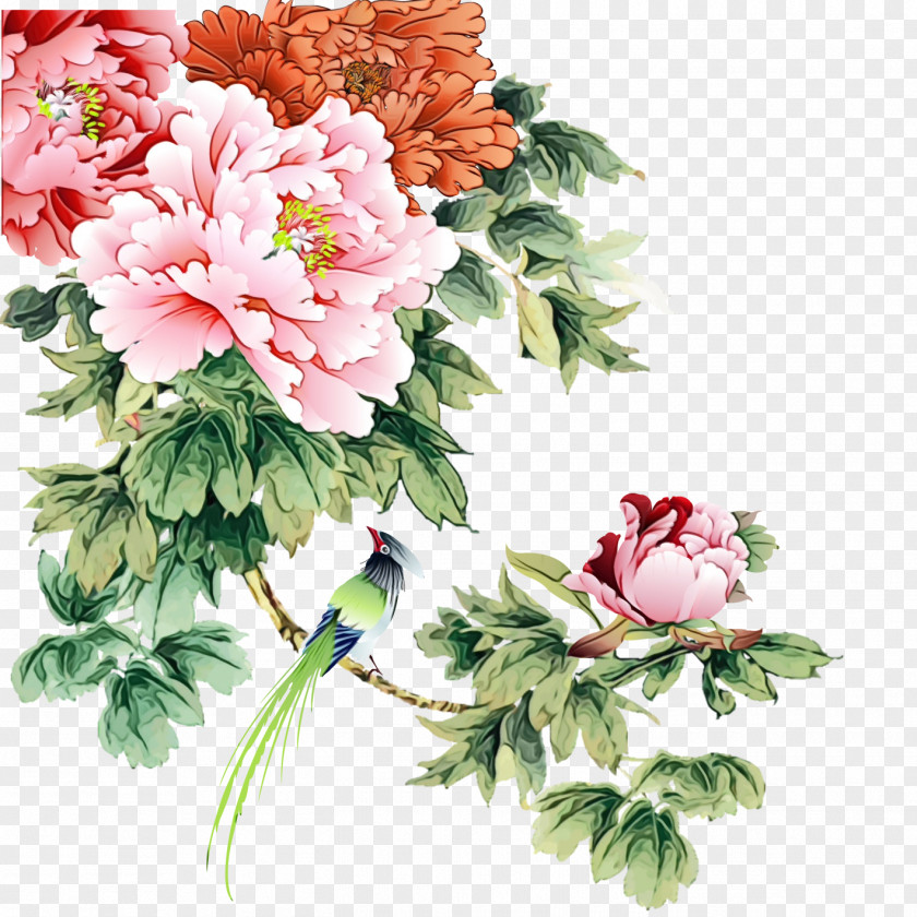 Chinese Peony Petal Flower Flowering Plant Cut Flowers Bouquet PNG