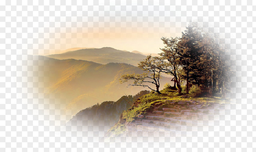 Evening Illustration Desktop Wallpaper Sunset Mountain Sunrise Image PNG