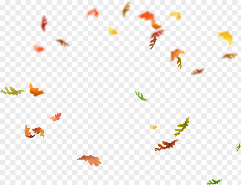 Falling Leaf Overlay PNG