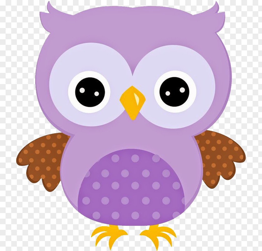 Owl Cute Drawing Cartoon Clip Art PNG