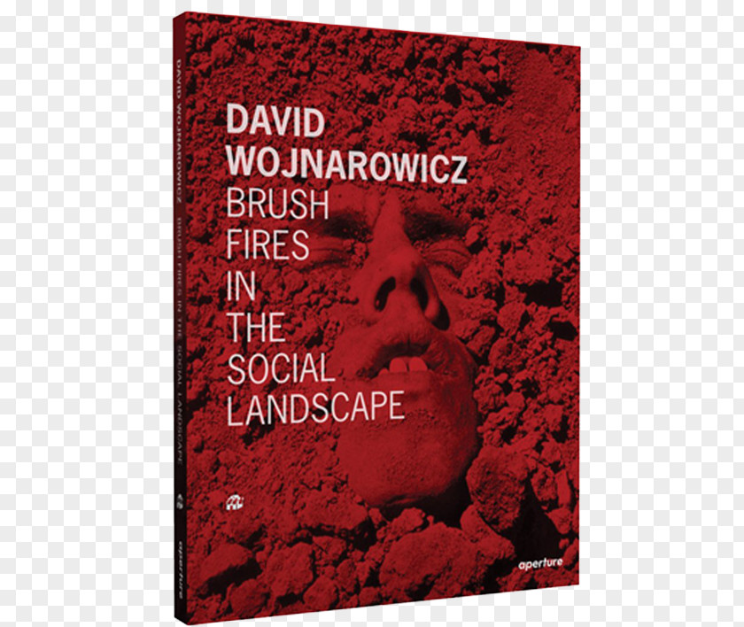 Painting David Wojnarowicz: Brush Fires In The Social Landscape Photography Wildfire International Pop PNG