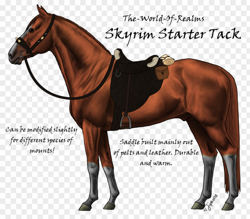 Skyrim Map Arabian Horse Akhal-Teke Thoroughbred Stallion Colt PNG