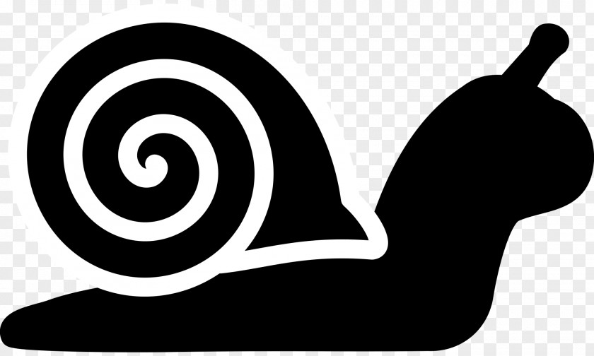 Snails Snail Mail Innovation Clip Art PNG