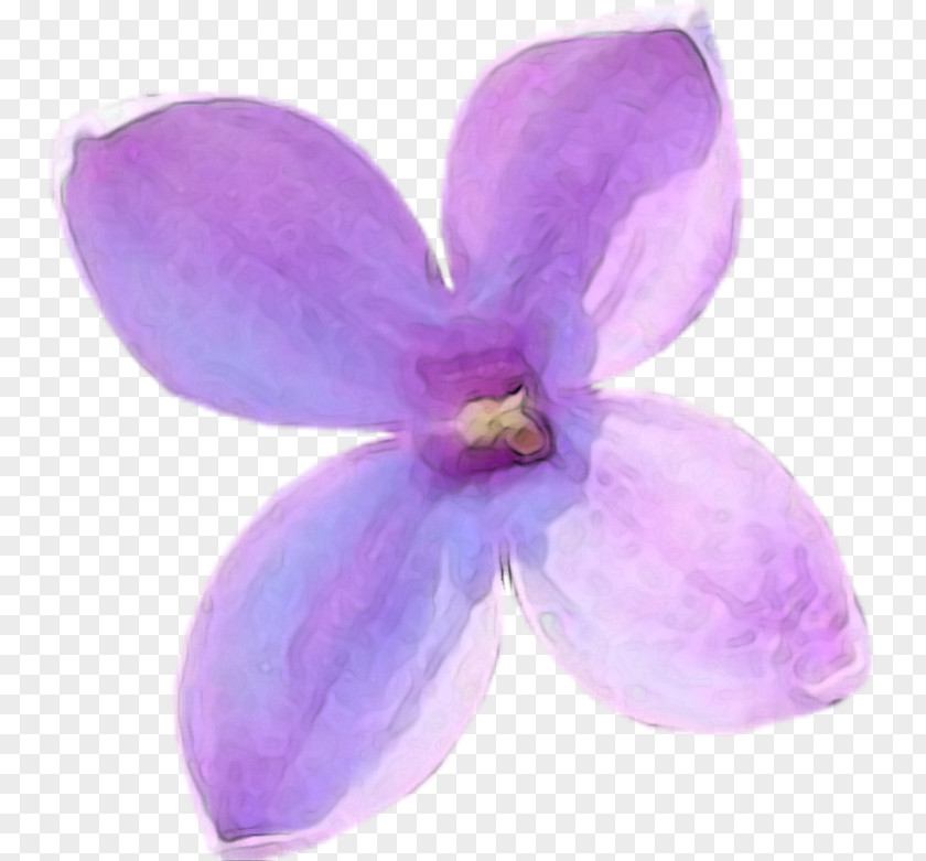 Tang Hua Download Lilac Clip Art PNG