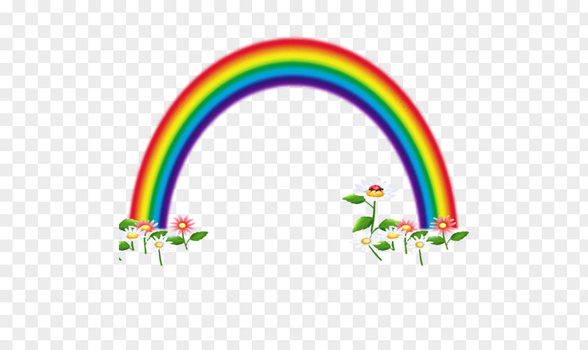 Arc En Ciel Digital Image PNG