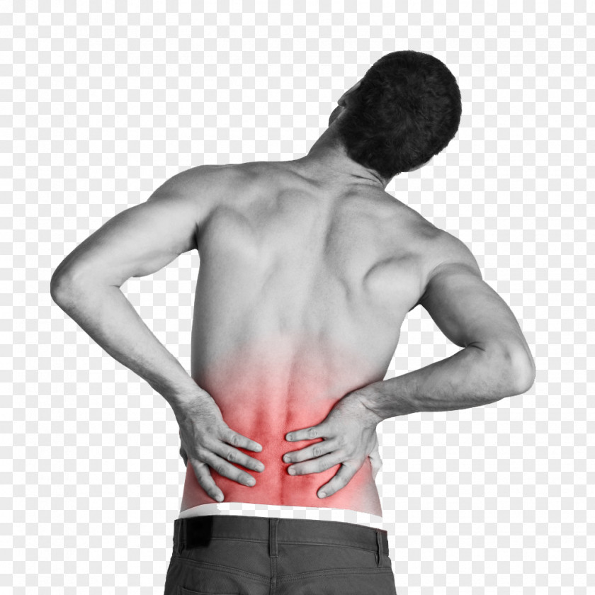 Back Pain Low Tiger Balm Human Physical Therapy PNG