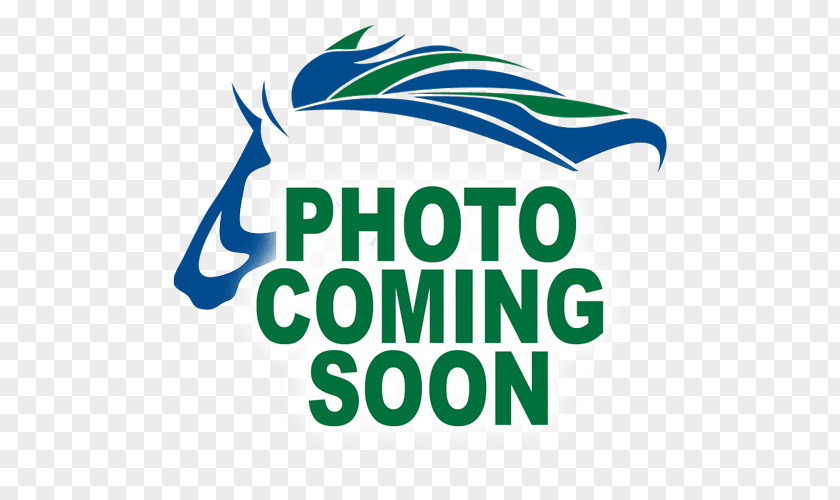 Coming Soon Telephone The Color Photo Book Light And Lighting In Photography IPhone PNG