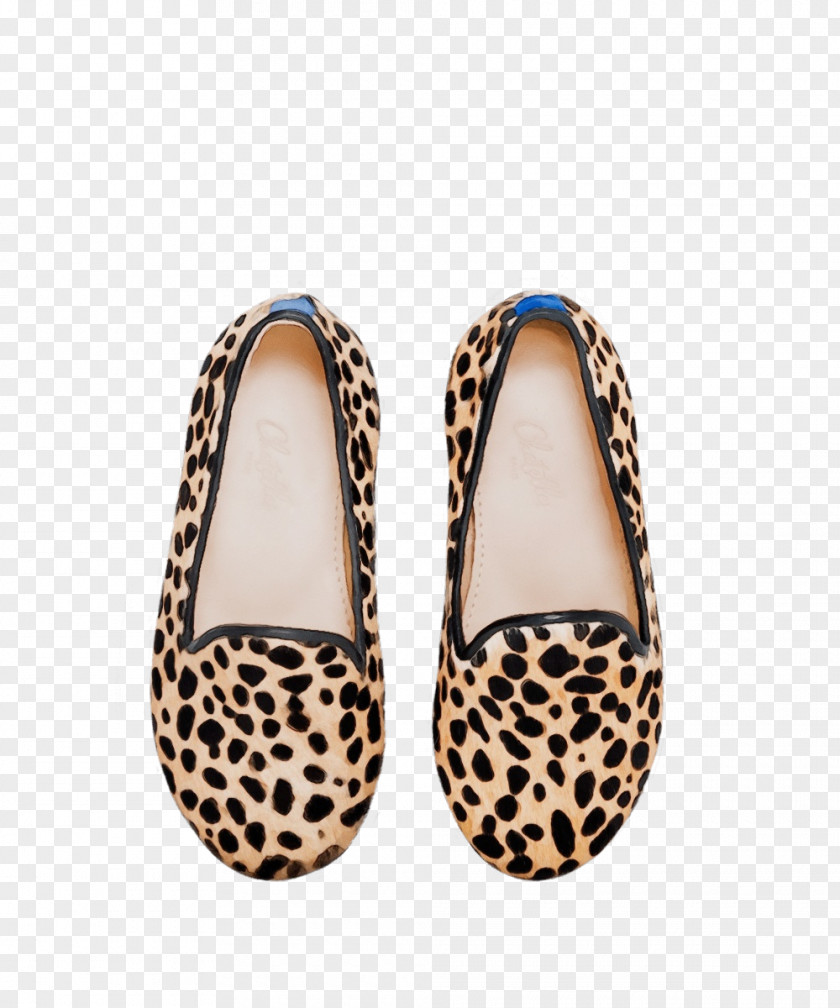 Court Shoe Mary Jane Footwear Beige Slipper Slingback PNG