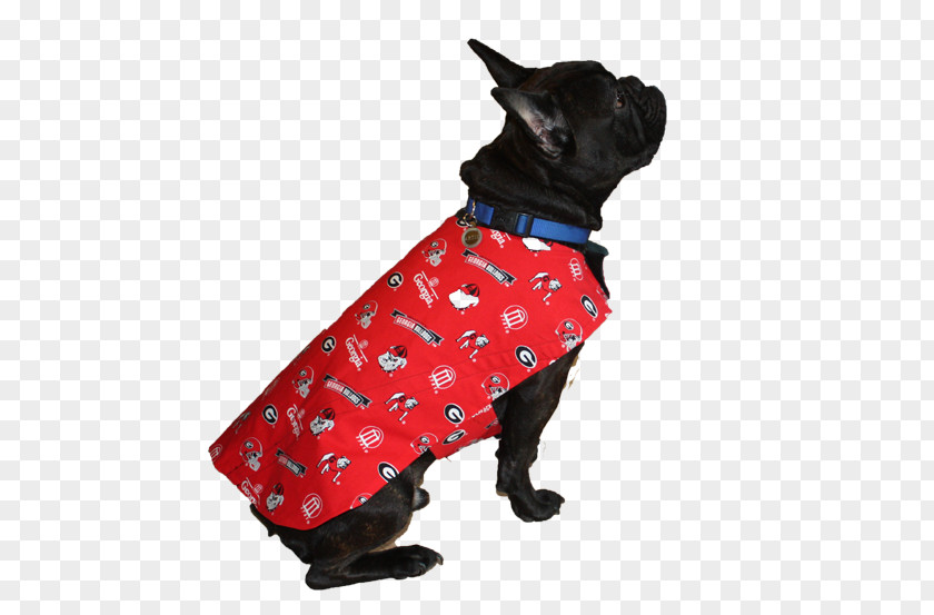 Dog Breed Clothes Clothing PNG